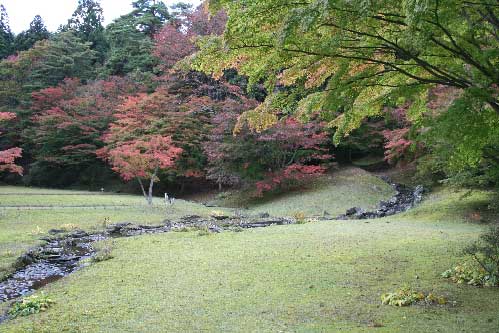 福島〜宮城〜岩手の旅　その8　毛越寺（最終回）_d0016587_1394725.jpg