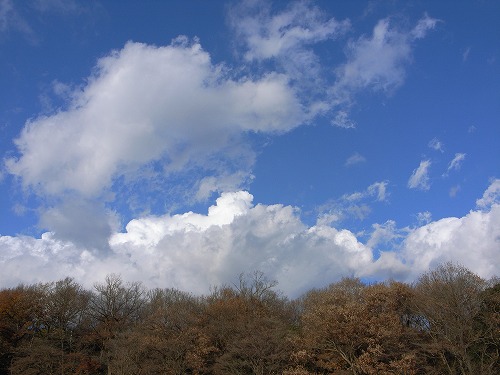 b0119493_149569.jpg