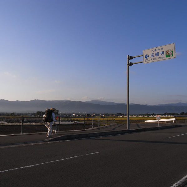 11月12日 おへんろ2日目by GX100_c0049299_20153731.jpg