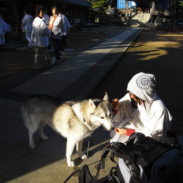 11月12日　おへんろ２日目by GX100_c0049299_20154796.jpg