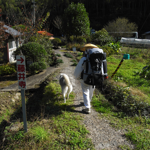 11月12日 おへんろ2日目by GX100_c0049299_20162238.jpg