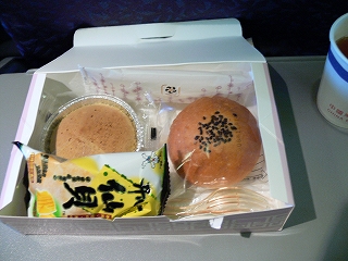 中国・米国出張2008年11月－第一日目－武漢到着_c0153302_1592079.jpg