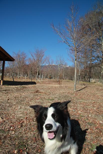 f0034602_2155974.jpg