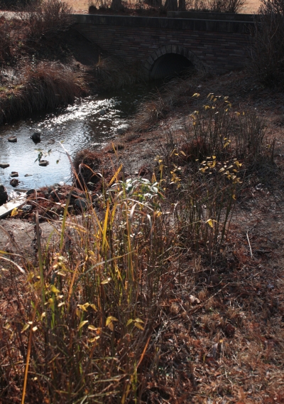c0156908_224223100.jpg