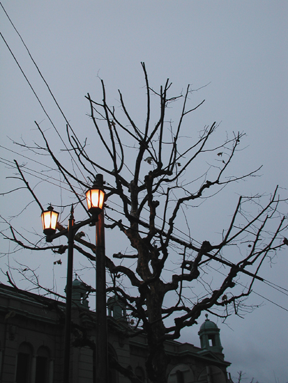 c0170208_818155.jpg