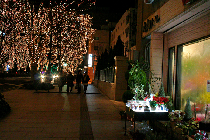 f0107517_137166.jpg