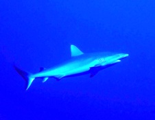 アグレッシブ?_a0043520_22191136.jpg