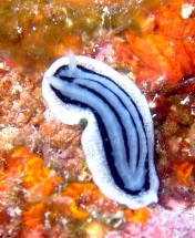 アグレッシブ?_a0043520_22221277.jpg