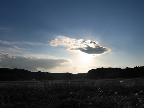 北総台地周回～花見川・印旛沼_e0089826_23241750.jpg