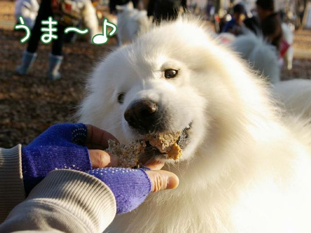 おっきな公園大舞踏会_c0062832_19124151.jpg