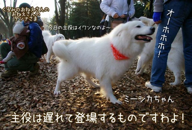 おっきな公園大舞踏会_c0062832_19131229.jpg