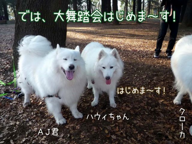 おっきな公園大舞踏会_c0062832_19132184.jpg