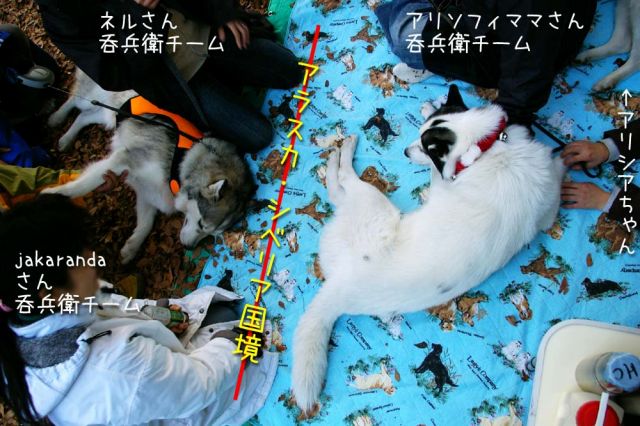おっきな公園大舞踏会_c0062832_1913496.jpg