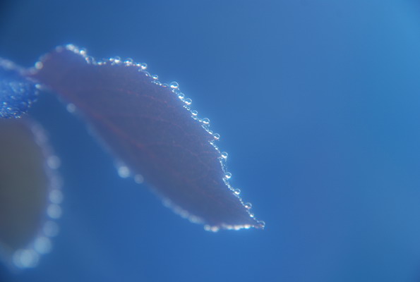 e0116532_23454988.jpg