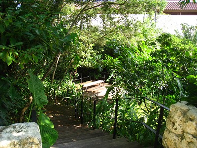 a0055835_2255266.jpg