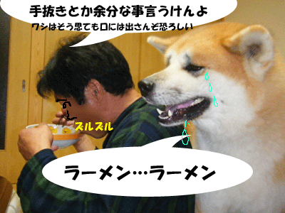 犬々４コマ　～ラーメン…ラーメン～_f0008935_1463427.gif