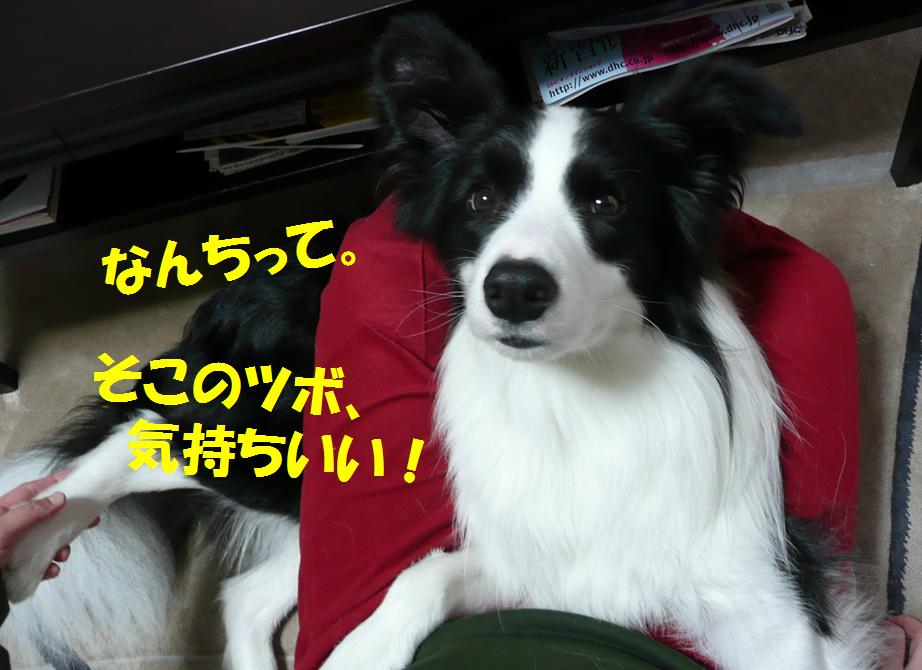 c0147241_20424843.jpg