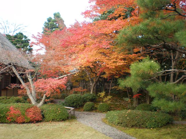 紅葉がとてもきれいでした。_b0118544_9525739.jpg