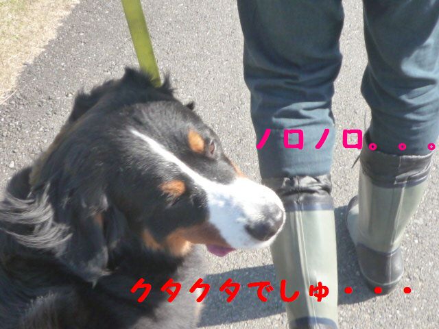 a0108146_22433661.jpg