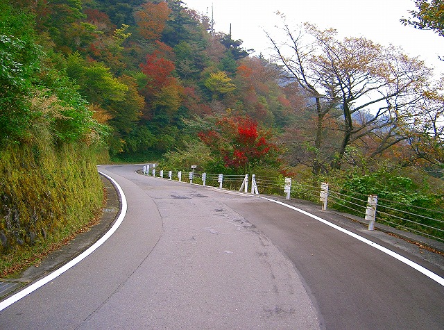 １１０．雲仙仁田峠［２０．１１．１］_a0054350_23374831.jpg