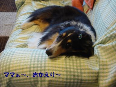f0046854_2012156.jpg