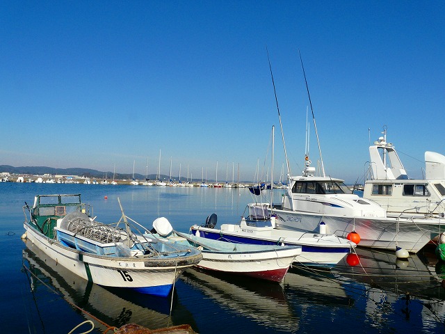 d0041158_15135144.jpg
