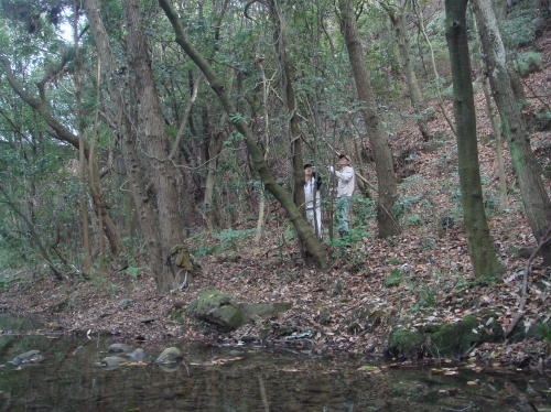 「井関川竹林」竹＆つる採集_c0108460_17485664.jpg