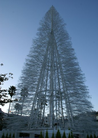 １２月２１日　　アズとマタタビオモチャ。_a0039366_0474773.jpg