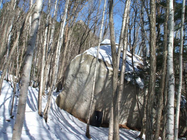 d0085768_7291940.jpg