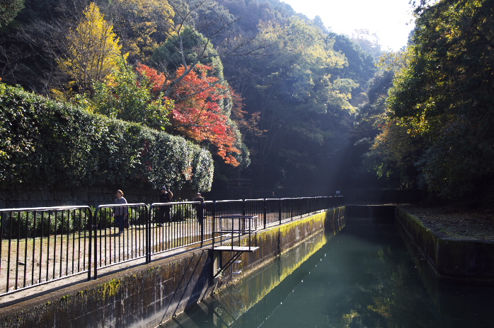 「東山の疎水」_b0108969_21487100.jpg