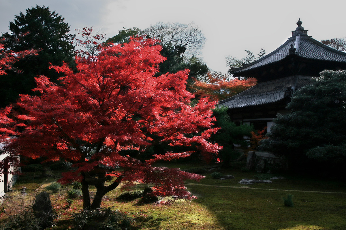 京都　嵐山　3 _f0021869_1035241.jpg