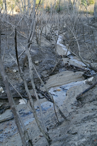 d0047078_22331136.jpg