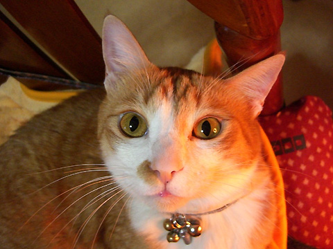 f0027189_22631.jpg