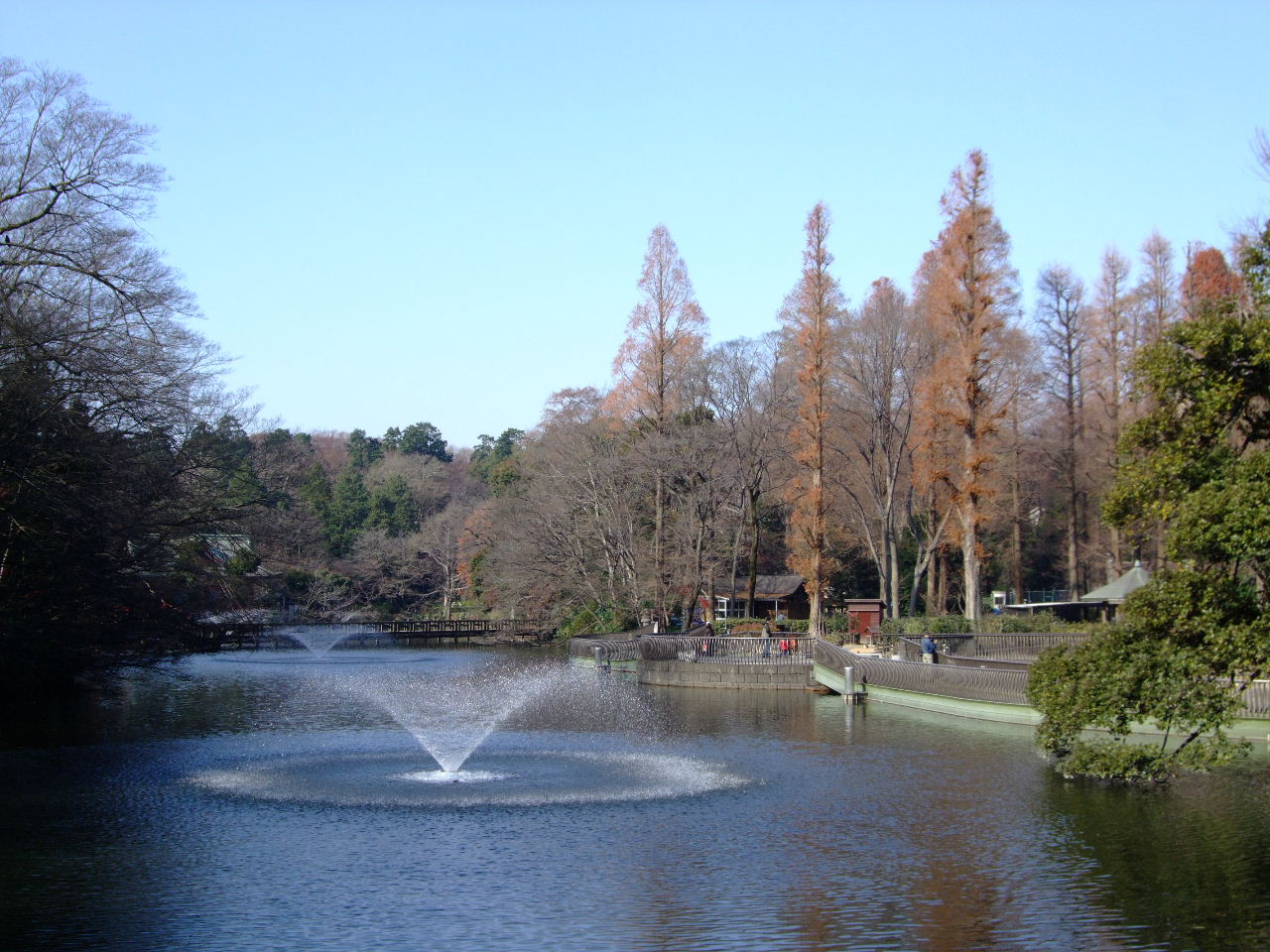 井の頭公園散策～神田川源流はここだった。_f0100593_19215239.jpg