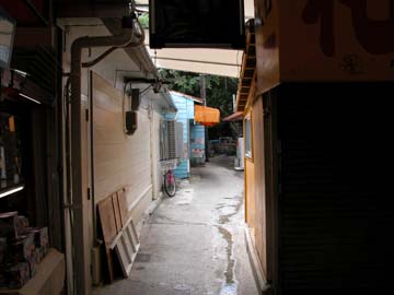 美ら写真(まちぐわぁー) その2_c0108695_331285.jpg