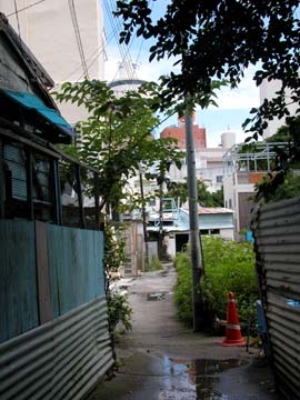 美ら写真(まちぐわぁー) その2_c0108695_3331991.jpg