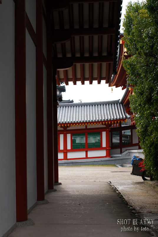 Yakushiji after the rain #1　/　SIGMA 50mm F1.4 EX DG HSM 試し撮り in 薬師寺_d0085501_22555271.jpg