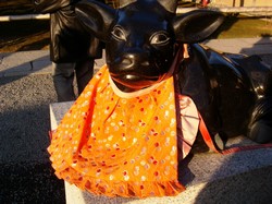 e0007801_11152038.jpg