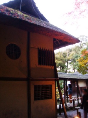 e0007801_11153316.jpg