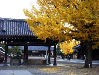 日本の古都・京都を訪ねて ～其の拾　『東本願寺』～_e0007801_11273283.jpg