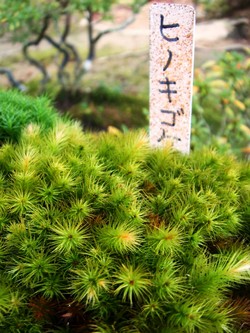 e0007801_11404530.jpg