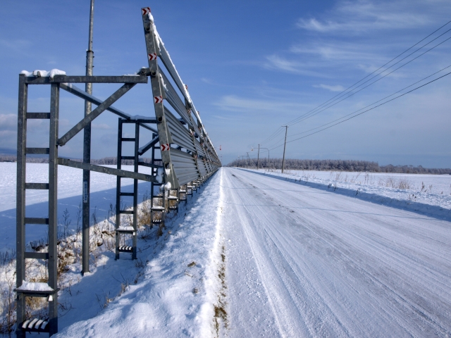 軽い雪_f0020302_21235056.jpg