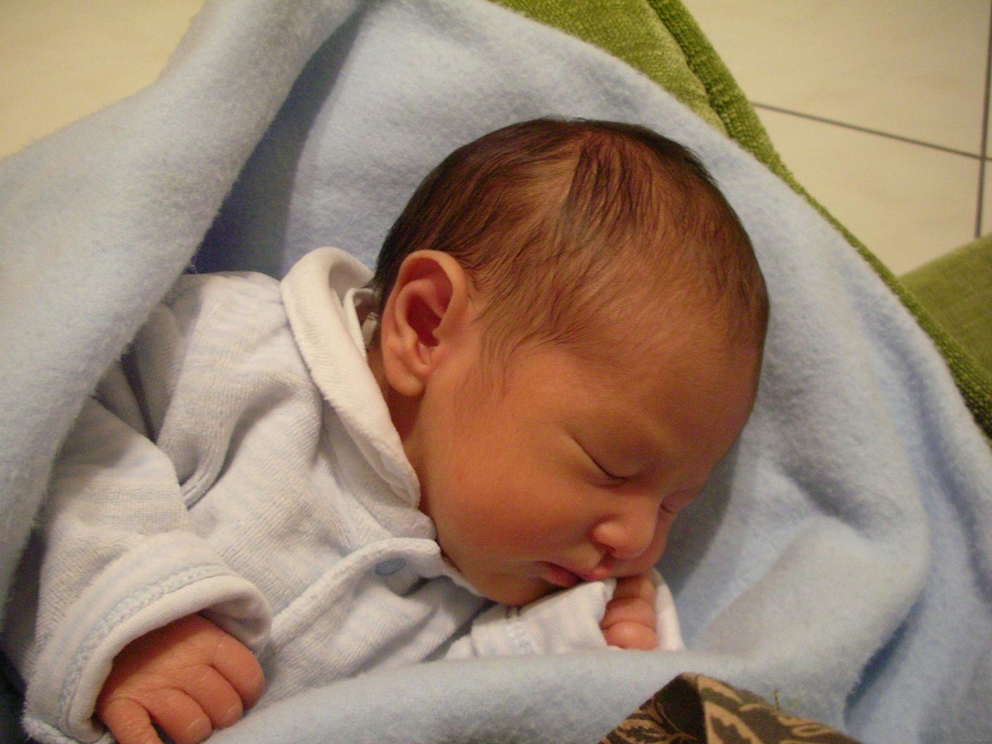 チュピンと1週間 モデナの食卓 Da Stefano