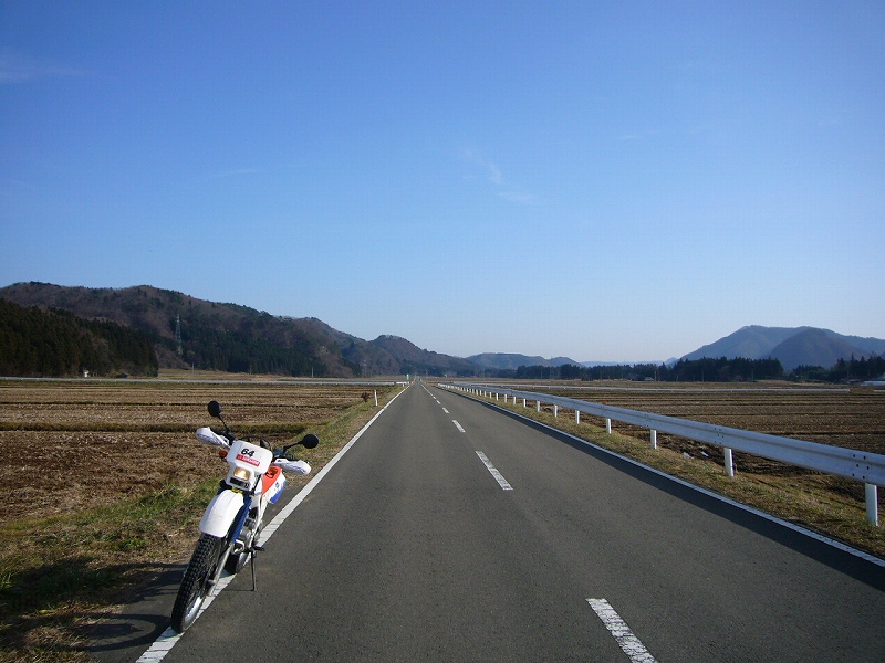 b0050305_20511270.jpg