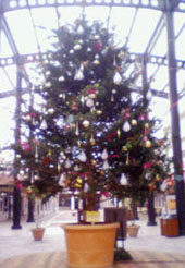 e0155405_20111820.jpg