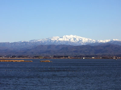 b0151911_8411020.jpg