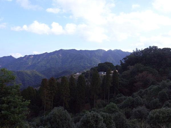 ●椿山森林公園_f0174914_13304100.jpg