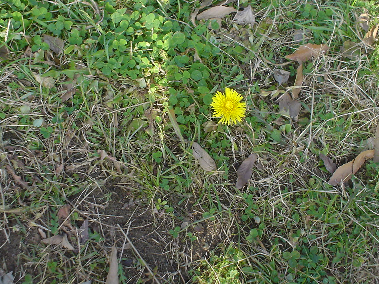 c0150520_23561318.jpg