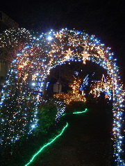 e0074833_12493669.jpg