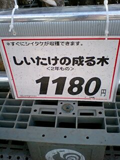 f0160135_12311135.jpg